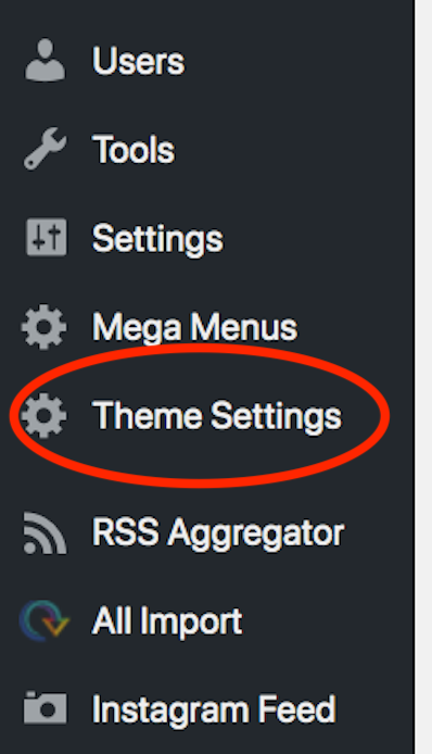 Shows where Theme Settings are in menu