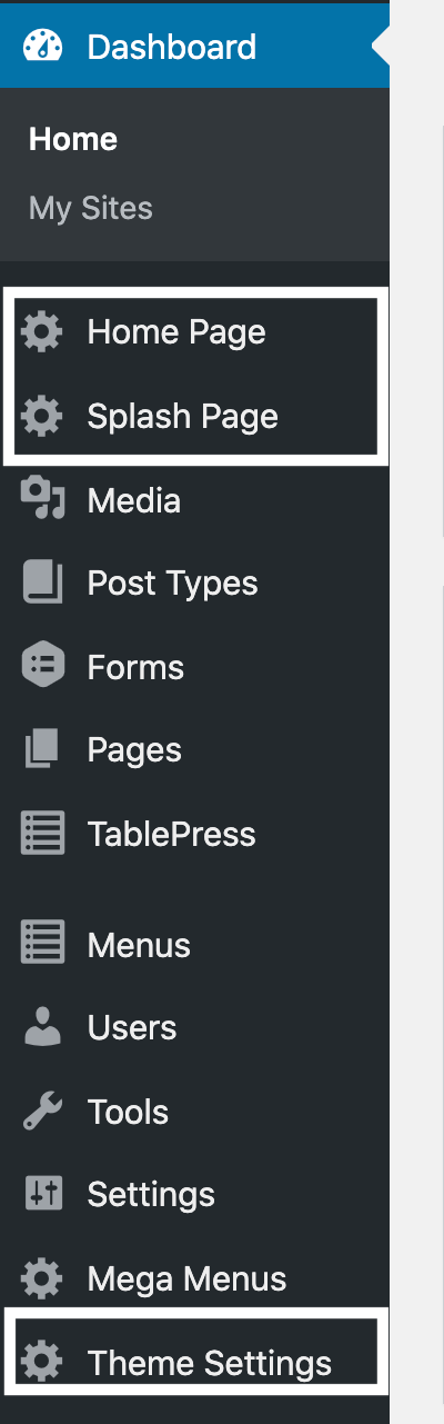 Location of homepage, Splash page and Theme Settings in dashboard