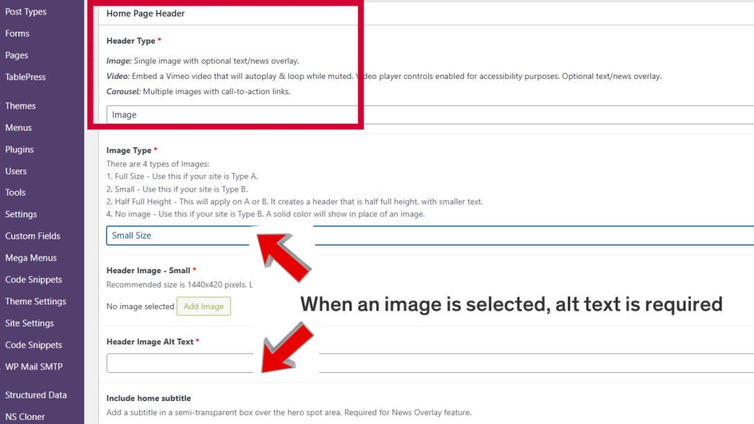 screenshot of the home page header content area